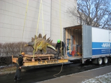 Moving a robotic dinosaur exhibit (Stage 2)