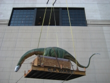 Moving a robotic dinosaur exhibit which required specialized crane service for delivery