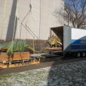 Moving a robotic dinosaur exhibit (Stage 1) Moving a robotic dinosaur exhibit (Stage 1)