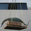 Moving a robotic dinosaur exhibit which required specialized crane service for delivery